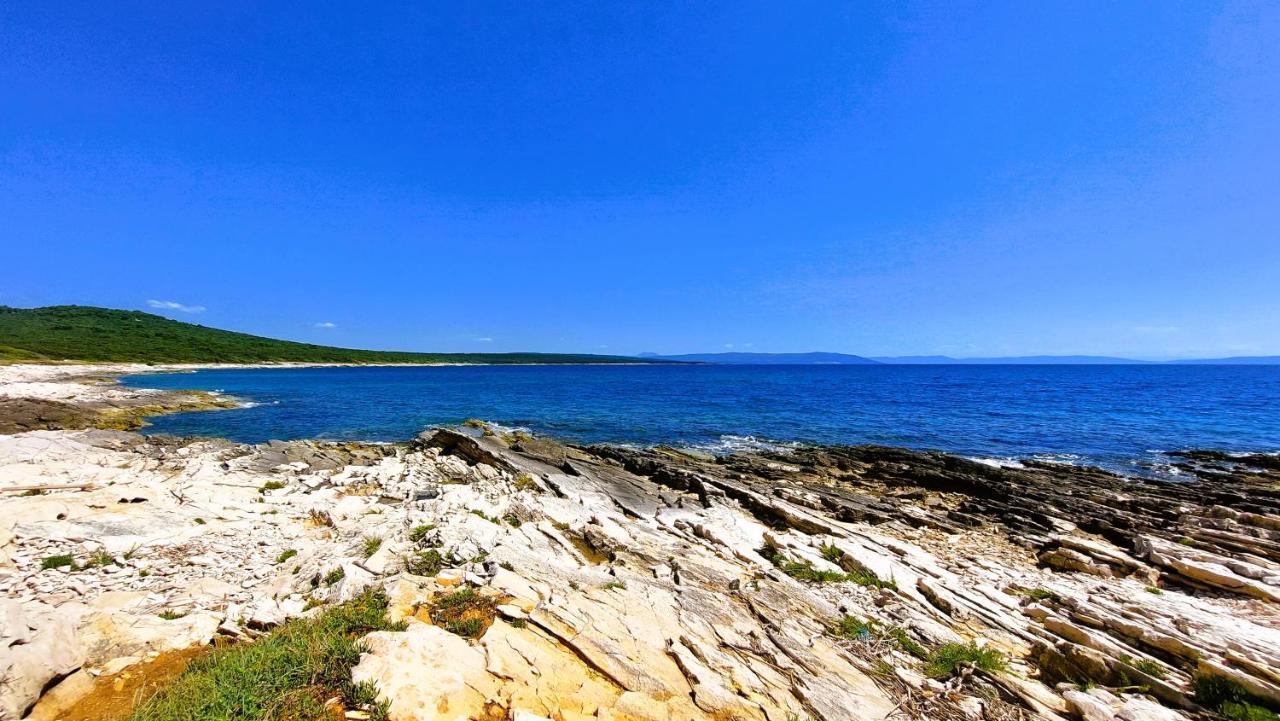 Apartment Agava Istria - Family Vacation Rental With Free Parking, Garden, Wifi Liznjan Exterior photo
