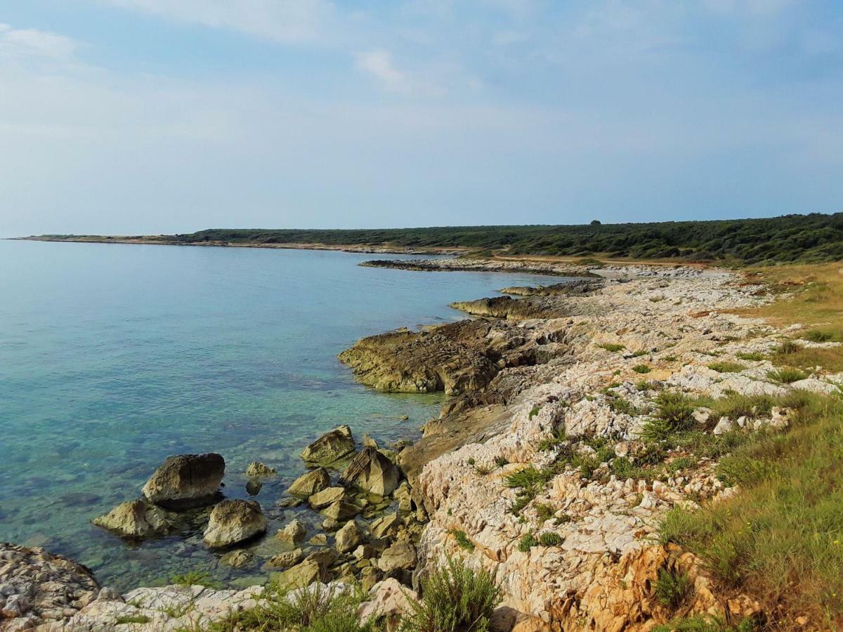 Apartment Agava Istria - Family Vacation Rental With Free Parking, Garden, Wifi Liznjan Exterior photo