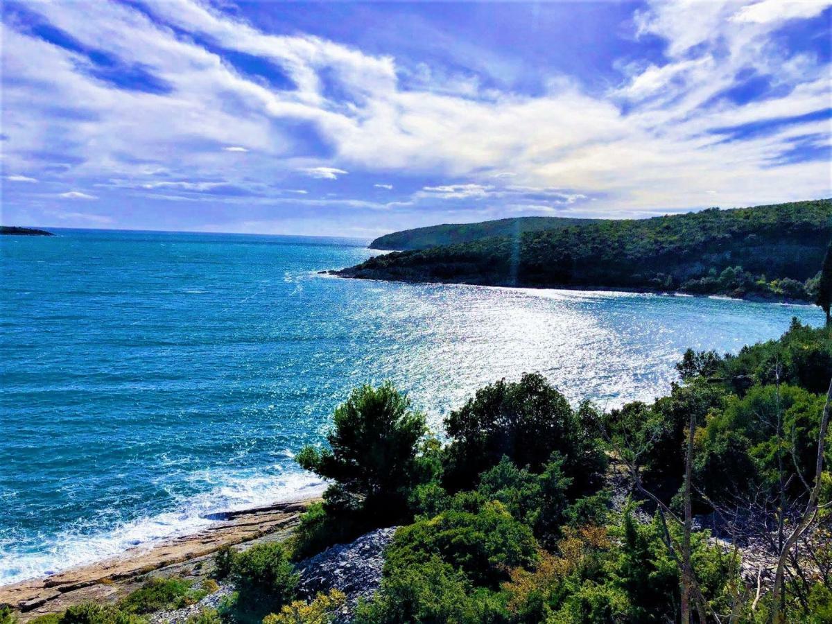 Apartment Agava Istria - Family Vacation Rental With Free Parking, Garden, Wifi Liznjan Exterior photo
